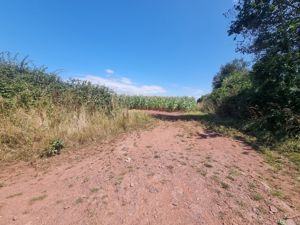 Photo 3- click for photo gallery